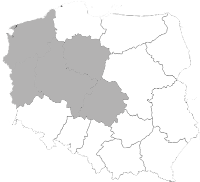 Kerrock - Polska Zachodnia
